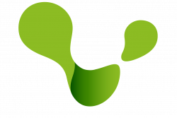 Solbach Consulting